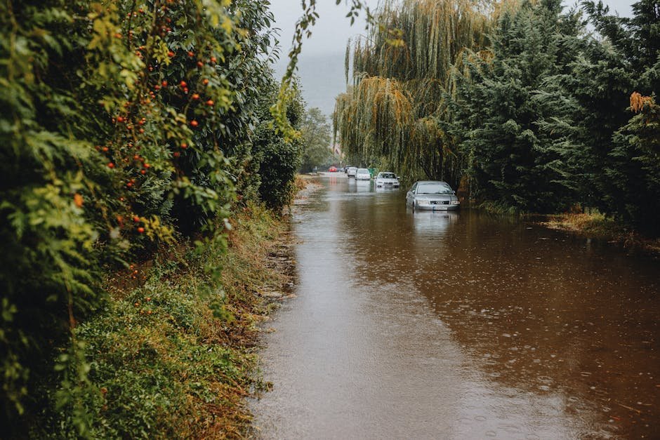 Unlock the Secrets: How Weather and Natural Disasters Impact Oil Prices – Your Ultimate Guide to Staying Informed